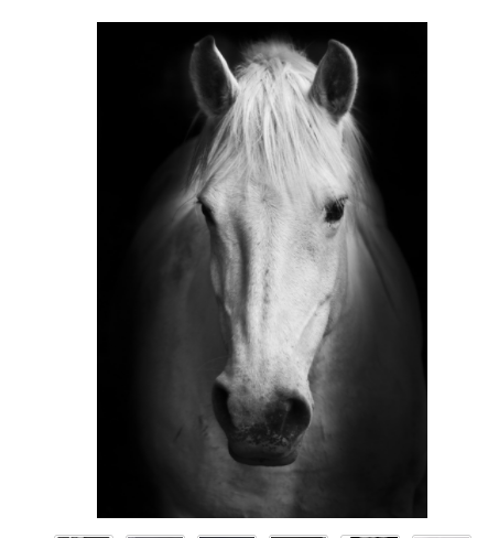 Cuadro Personalizado para Galería de Arte - Image 2