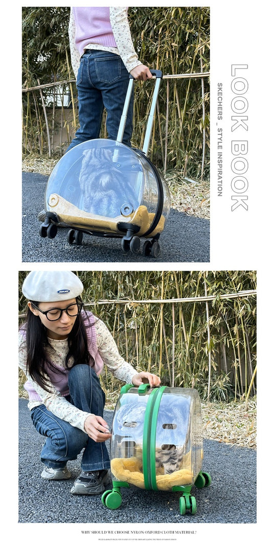 Mochila Transportadora Transparente para Gatos y Mascotas Pequeñas - Image 23
