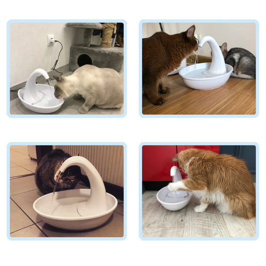 Fuente de Agua para Gatos con Flujo Continuo - Image 15