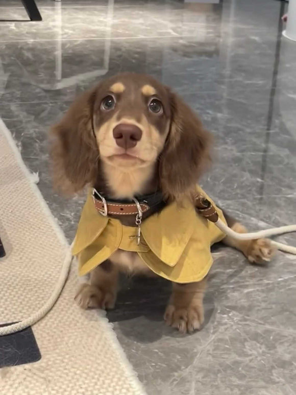 Abrigo Estilo Británico para Perros Pequeños - Cortavientos Elegante