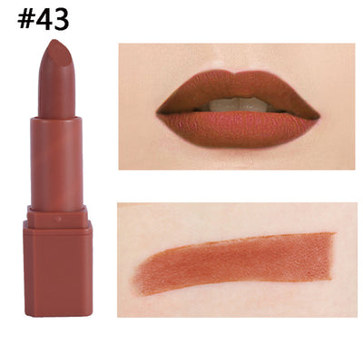 Labial Mate en Tubo Cuadrado - Maquillaje de Larga Duración - Image 19