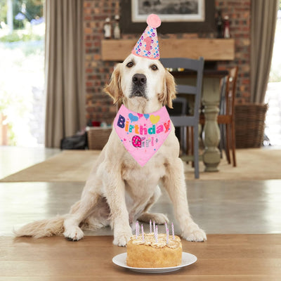 Sombrero de Cumpleaños para Perros con Números y Bandana - Image 9
