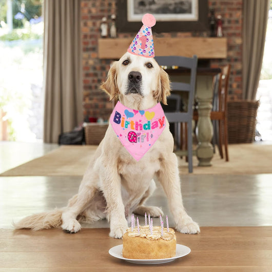 Sombrero de Cumpleaños para Perros con Números y Bandana - Image 9
