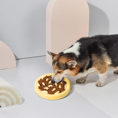 Comedero Lento Antiestrés para Perros y Gatos - Image 33