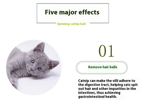 Pelota de Hierba Gatera Interactiva para Gatos - Image 13