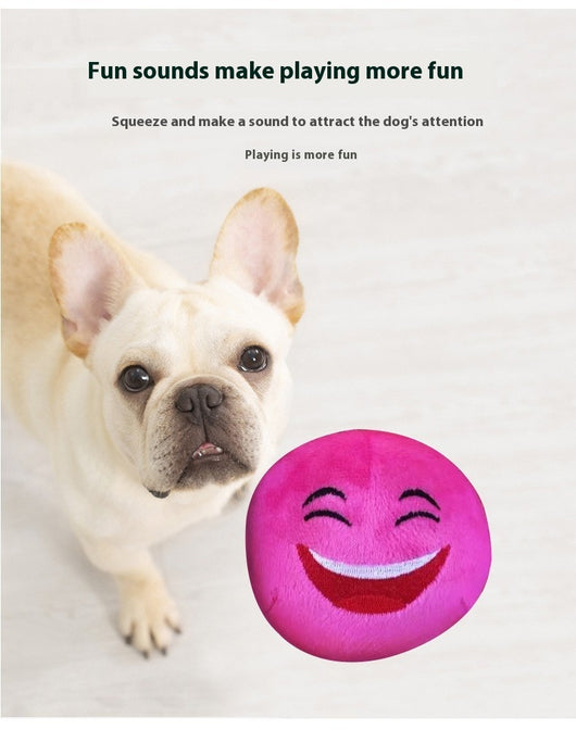 Colorful pet puzzle balls with cartoon faces and cactus designs, packaged in a clear drawstring bag. - Image 9