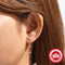 Aretes de Plata 925 con Mariposa, Borla y Diamantes