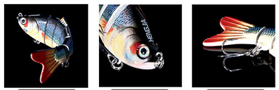 Peces Carnada Premium - Image 36