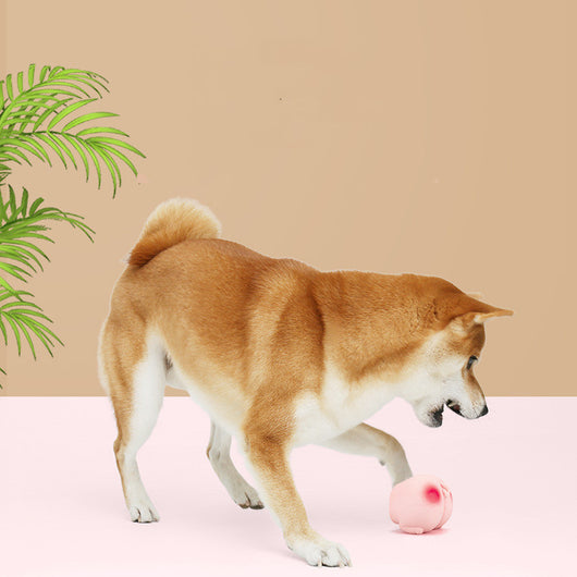 Juguete Interactivo de Látex con Sonidos Divertidos para Mascotas - Image 11