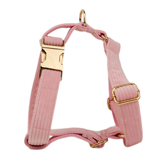 Collar de Terciopelo para Perros - Suave y Elegante - Image 25