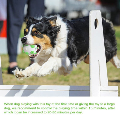 Juguete Pelota Interactiva para Perros - Limpieza Dental, Entrenamiento Mental y Alivio del Estrés - Image 9