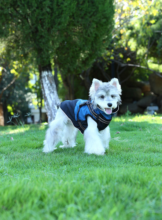 Ropa Impermeable para Mascotas en Algodón Resistente - Image 5