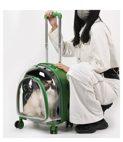 Mochila Transportadora Panorámica para Mascotas con Ventana Transparente - Image 11