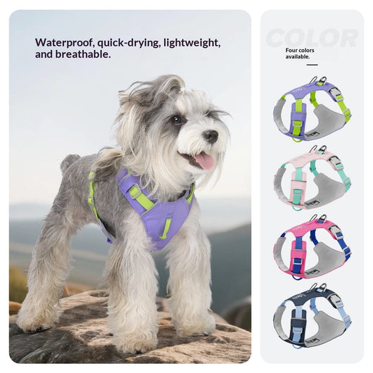 Arnés Multiusos Impermeable de Secado Rápido para Perros - Image 3