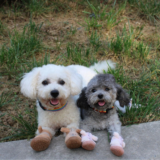 Botitas Térmicas para Perros con Decoración de Orejas - Protectores de Patas Antideslizantes - Image 6