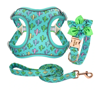 Arnés y Correa para Perros Pequeños Pomerania y Bichón - Chaleco Ajustable con Cadena - Image 11