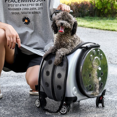 Mochila Transportadora para Mascotas Cápsula Espacial con Bolsillo Transparente