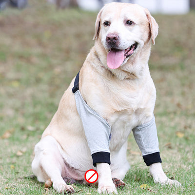 Protector de Patas Delanteras para Perros con Lesiones - Rodilleras de Algodón Transpirable - Image 3