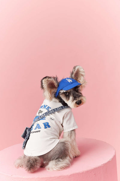 Ropa de Verano para Perros Pequeños - Teddy Schnauzer Bichón - Image 17