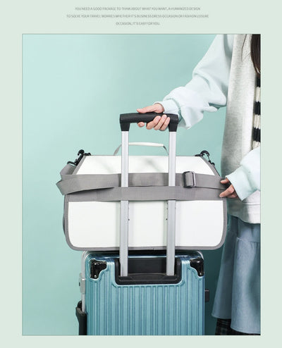 Bolsa Transportadora para Gatos Grande con Soporte y Amplia Capacidad - Image 12