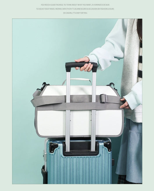 Bolsa Transportadora para Gatos Grande con Soporte y Amplia Capacidad - Image 12
