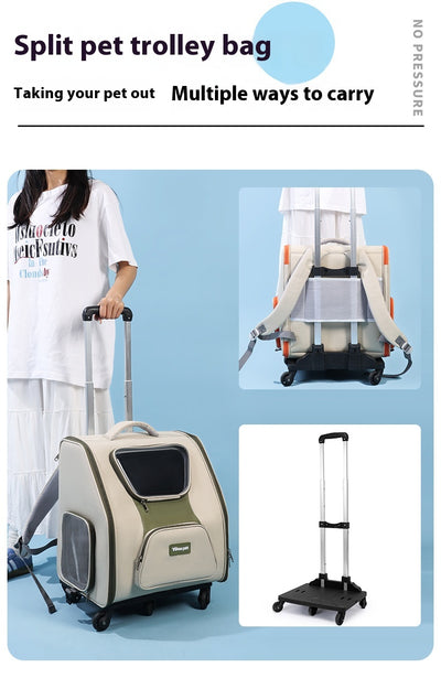 Bolsa Transportadora Panorámica para Gatos - Gran Capacidad - Image 9