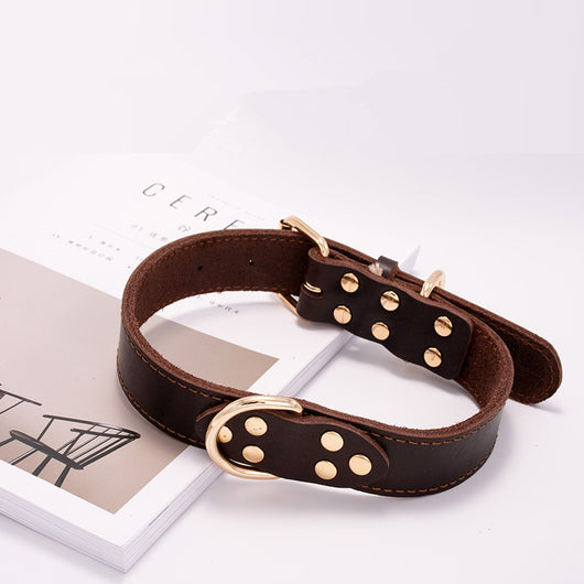 Collar para Perro - Image 5