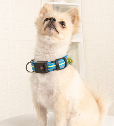 Collar Inteligente para Mascotas con Fibra Óptica, Impermeable y Carga Magnética - Image 26