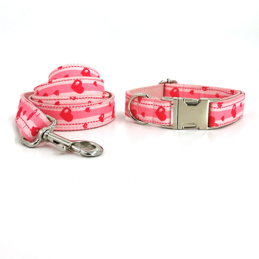 Juego de Collar y Correa para Perros de Alta Calidad - Image 5