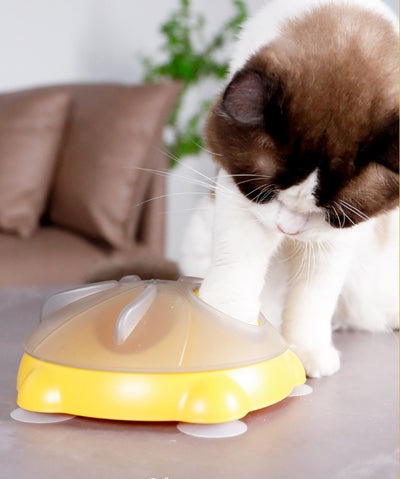 Plato Interactivo para Gatos con Almacenamiento de Snacks y Entretenimiento - Image 7
