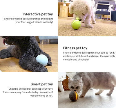 Pelota Saltarina Interactiva para Gatos - Image 17