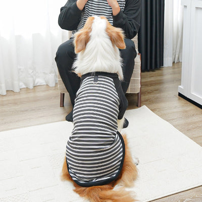 Camiseta Rayada para Perros Grandes - Ropa Cómoda y Protectora - Image 23