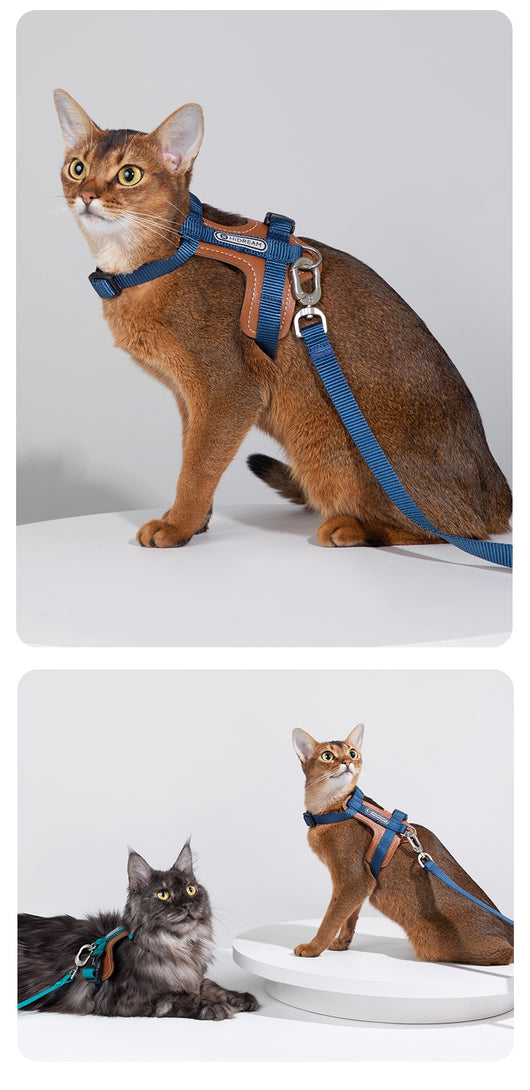 Arnés de Tracción en I para Gatos - Chaleco Pectoral y Dorsal - Image 24