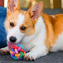 Pelotas Interactivas con Luz y Sonido para Perros y Gatos - Image 11