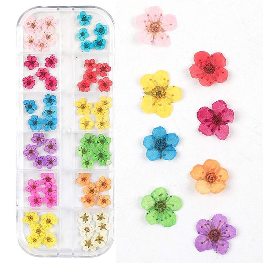 Kit de Flores Secas para Decoración de Uñas - 12 Compartimentos con Margaritas y Flores Silvestres Reales - Image 9