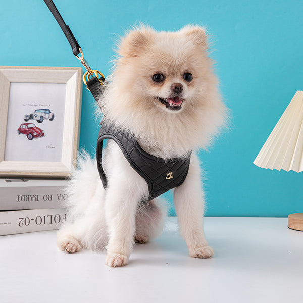 Arnés de Tracción Pectoral y Dorsal para Perros en Cuero