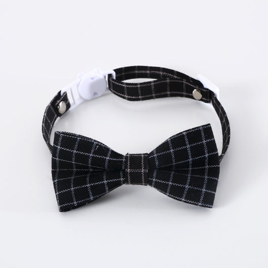 Diadema y Moño Graduado para Mascotas - Diseño Profesional - Image 7
