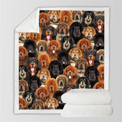 Manta Flanela Estampada para Perros de Moda - Image 42