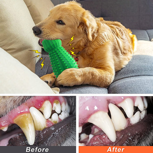 Juguete Sonoro de Goma para Perros - Diversión Interactiva - Image 5