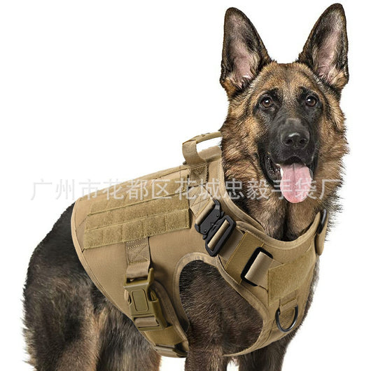 Chaleco de Entrenamiento Deportivo para Mascotas - Image 3