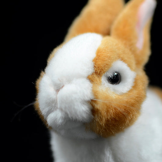 Peluche Adorable Conejo Holandés - Image 12