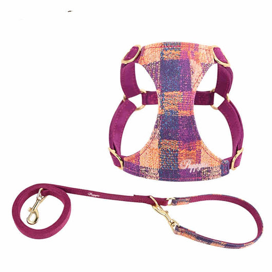 Arnés de Paseo con Cuerda de Mano para Perros - Image 5