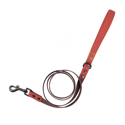 Correa de Tracción Retro para Perros - Image 9