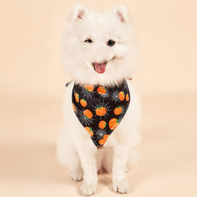Toalla Absorbente Doble Cara para Mascotas - Secado Rápido - Image 6