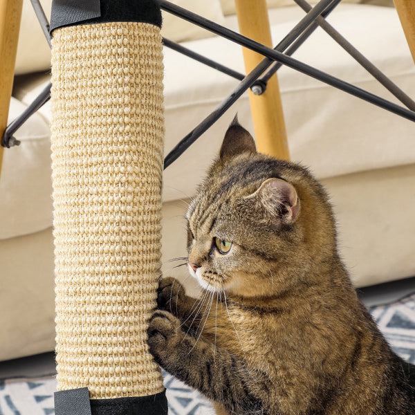 Rascador Portátil para Gatos con Juguete Interactivo