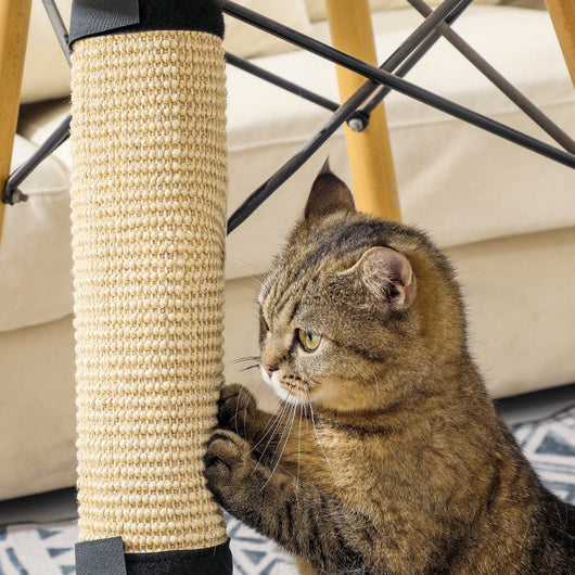Rascador Portátil para Gatos con Juguete Interactivo - Image 2