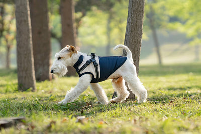 Chaleco Térmico Protector para Perros - Image 17