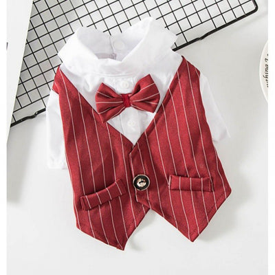 Traje Elegante para Perros Pequeños - Image 8