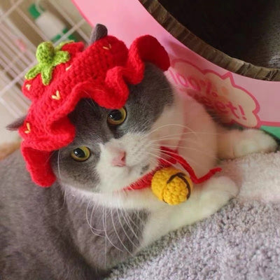 Gorro de Lana Tejido para Perros y Gatos - Accesorios Adorables para Mascotas - Image 17