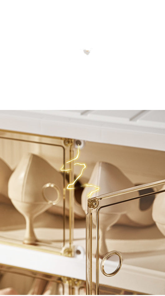 Organizador de Zapatos Plegable de Doble Fila con Caja Transparente - Image 17
